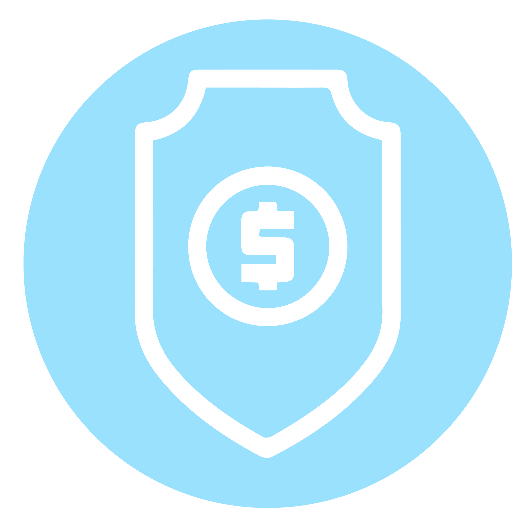 "پرداخت امن"